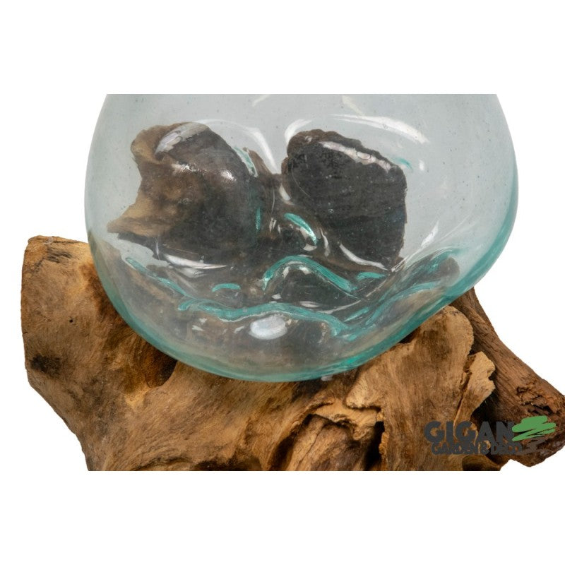 Vase sur racine de gamal 15cm