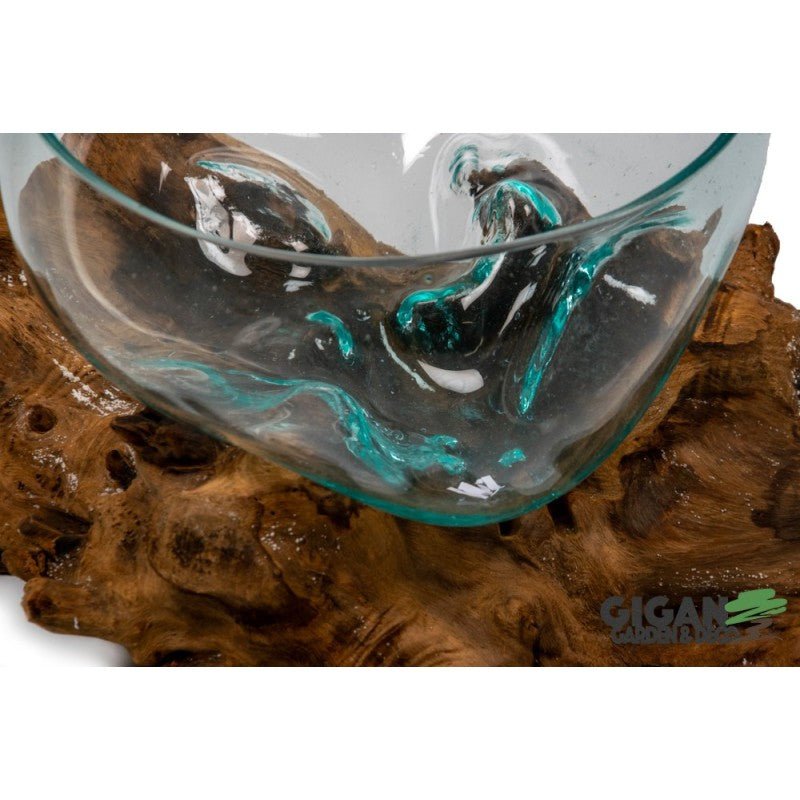 Coupe sur racine de gamal 25cm